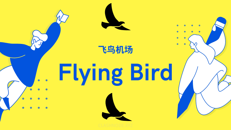 Flying-Bird-飞鸟机场.png